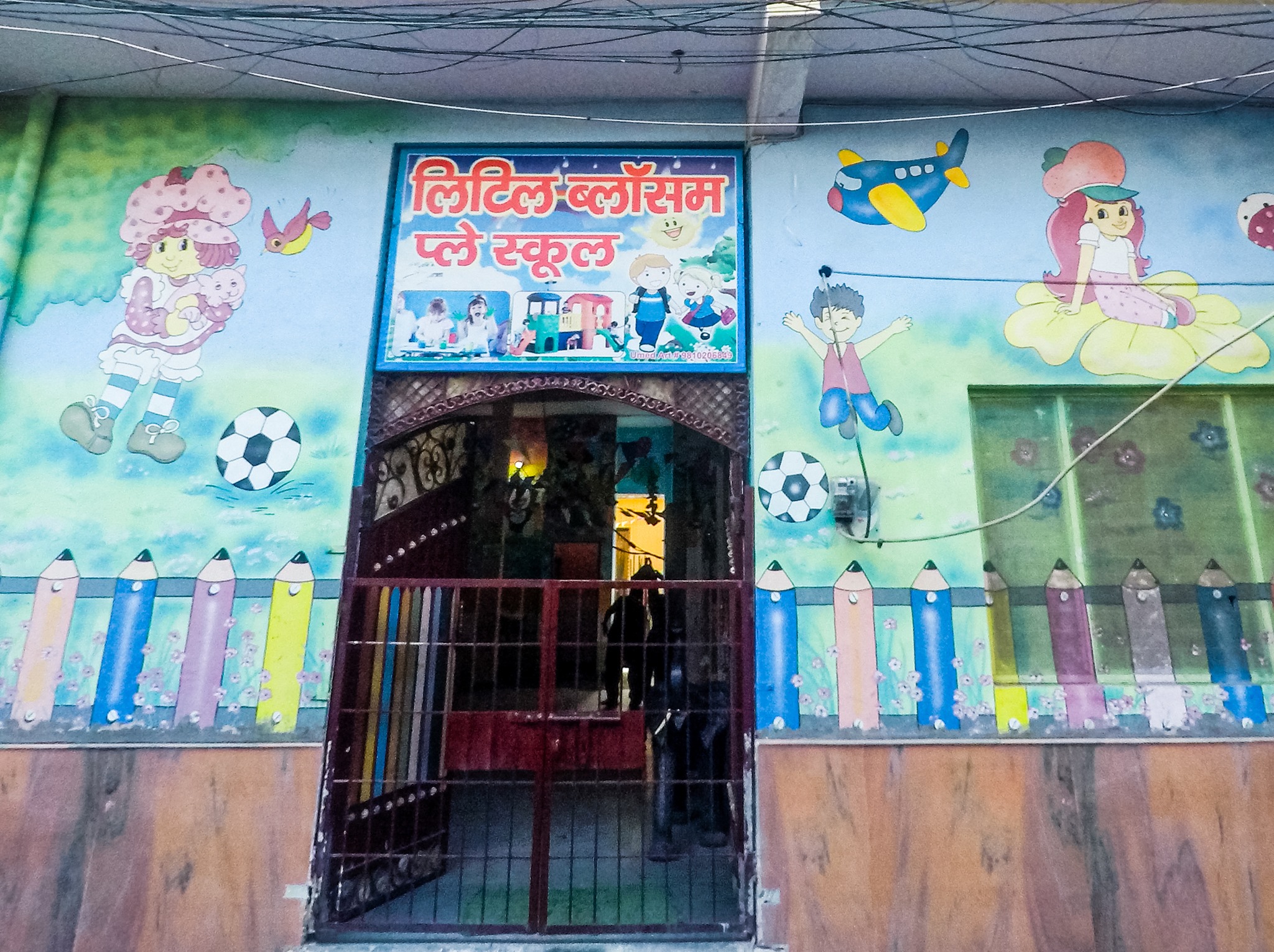Little Blossom Play School — Brahampuri campus
