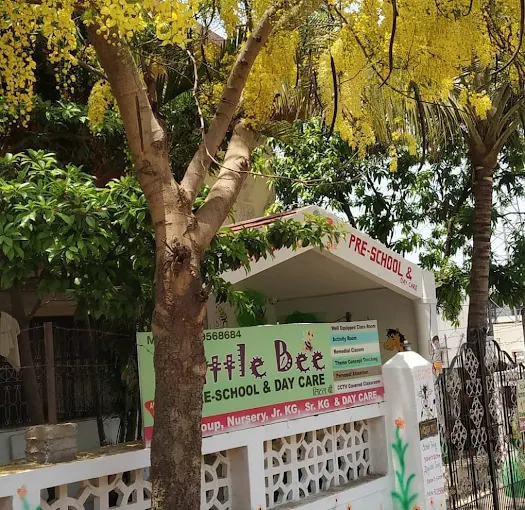 Little Bee Preschool & Daycare — Wadmukhwadi campus