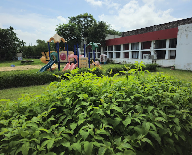 Radcliffe School campus