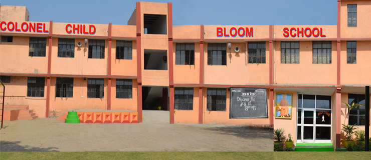 Colonel Child Bloom School — Najafgarh campus