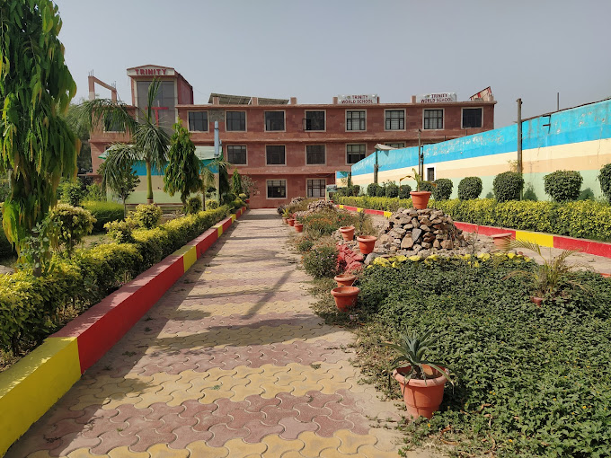 Trinity World School campus
