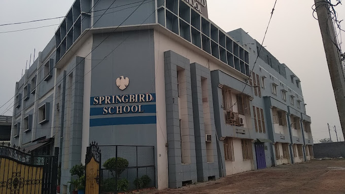 Springbird School — Thana Darwaja campus