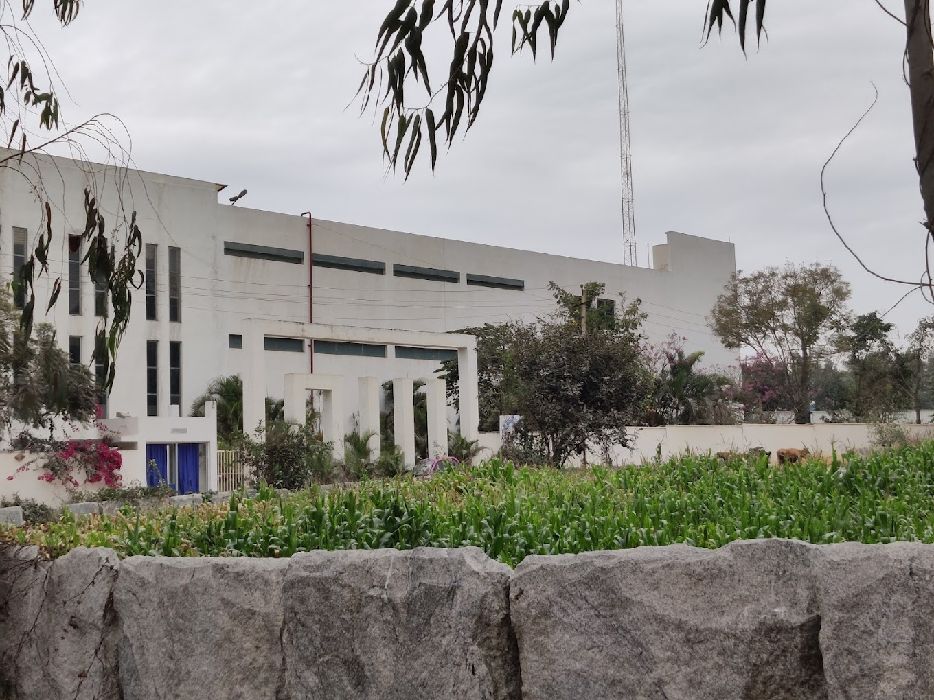 Adarsha High School — Hongasandra campus