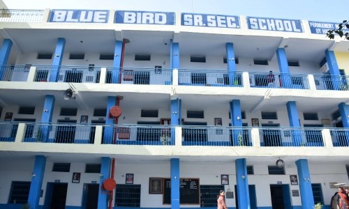 Blue Bird Senior Secondary School — Sector 48 campus