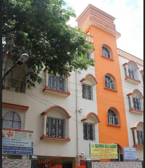 Bloomingdale Academy High School — Hussainpur campus