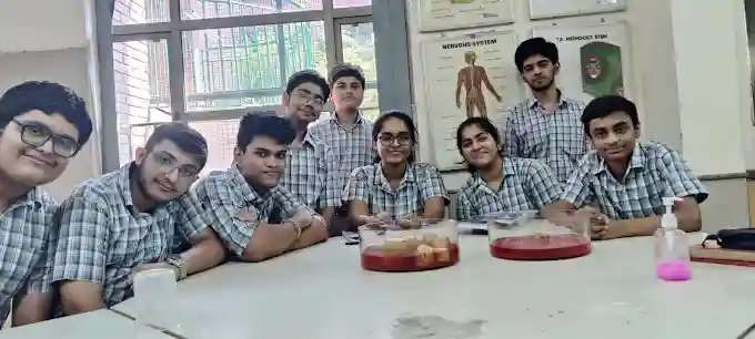 Ahlcon International School campus photo 6 of 7 — Mayur Vihar Phase 1