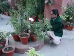 SNEH International School campus photo 3 of 15 — Preet Vihar