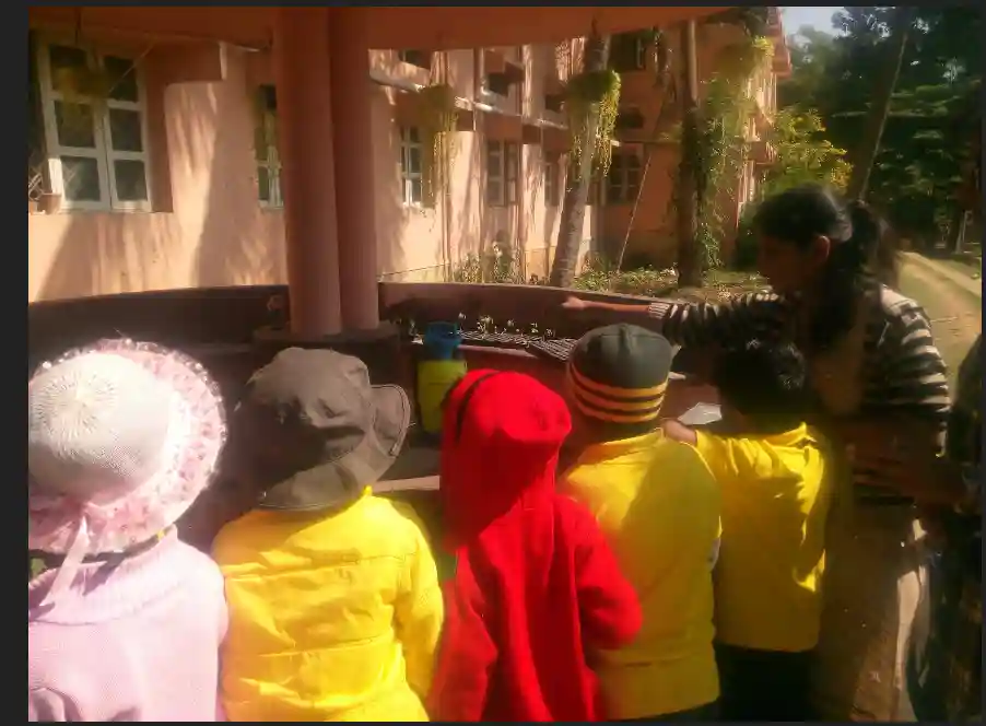 Podar Jumbo Kids campus photo 23 of 28 — JP Nagar