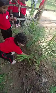 Peepal Tree Preschool campus photo 10 of 15 — JP Nagar