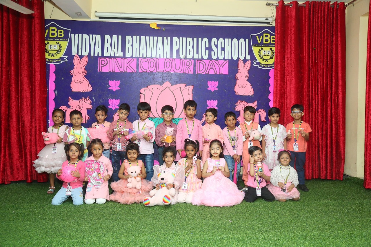 Vidya Bal Bhawan Public School campus photo 10 of 29 — Shakarpur