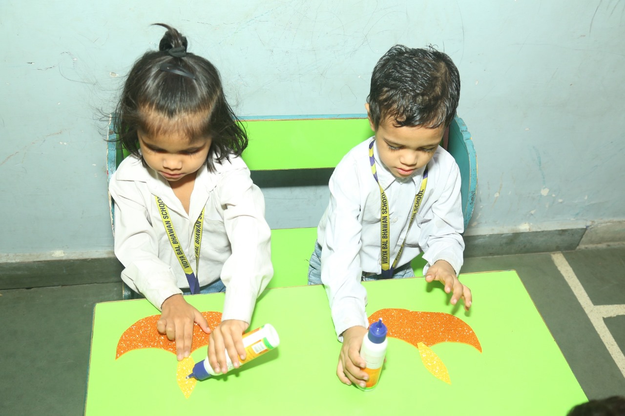 Vidya Bal Bhawan Public School campus photo 15 of 29 — Shakarpur