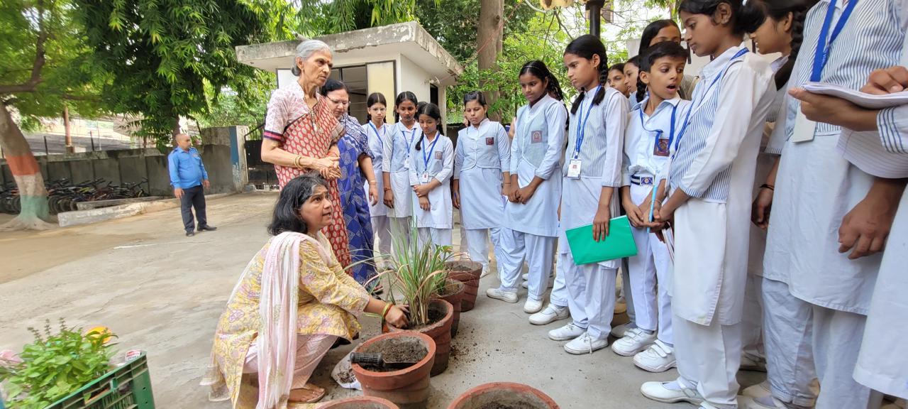 Saraswati Balika Vidya Mandir School campus photo 19 of 23 — Sector 31