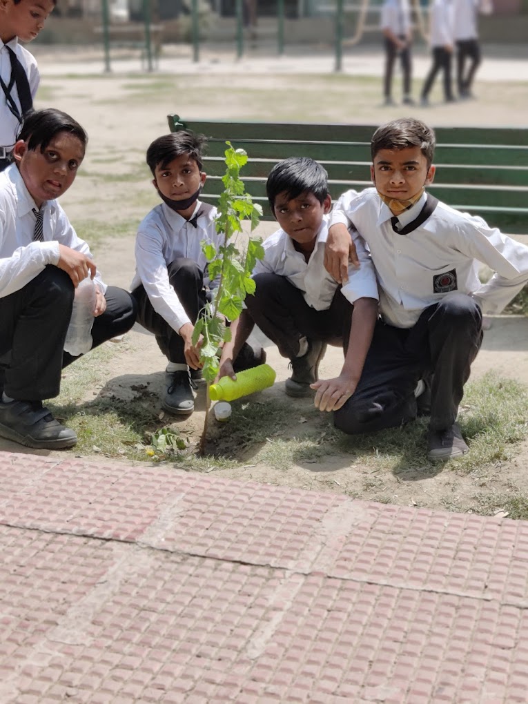 The Earth Paradise School campus photo 15 of 30 — Sector 31