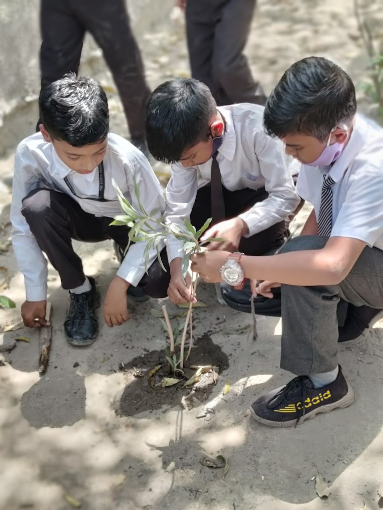 The Earth Paradise School campus photo 18 of 30 — Sector 31