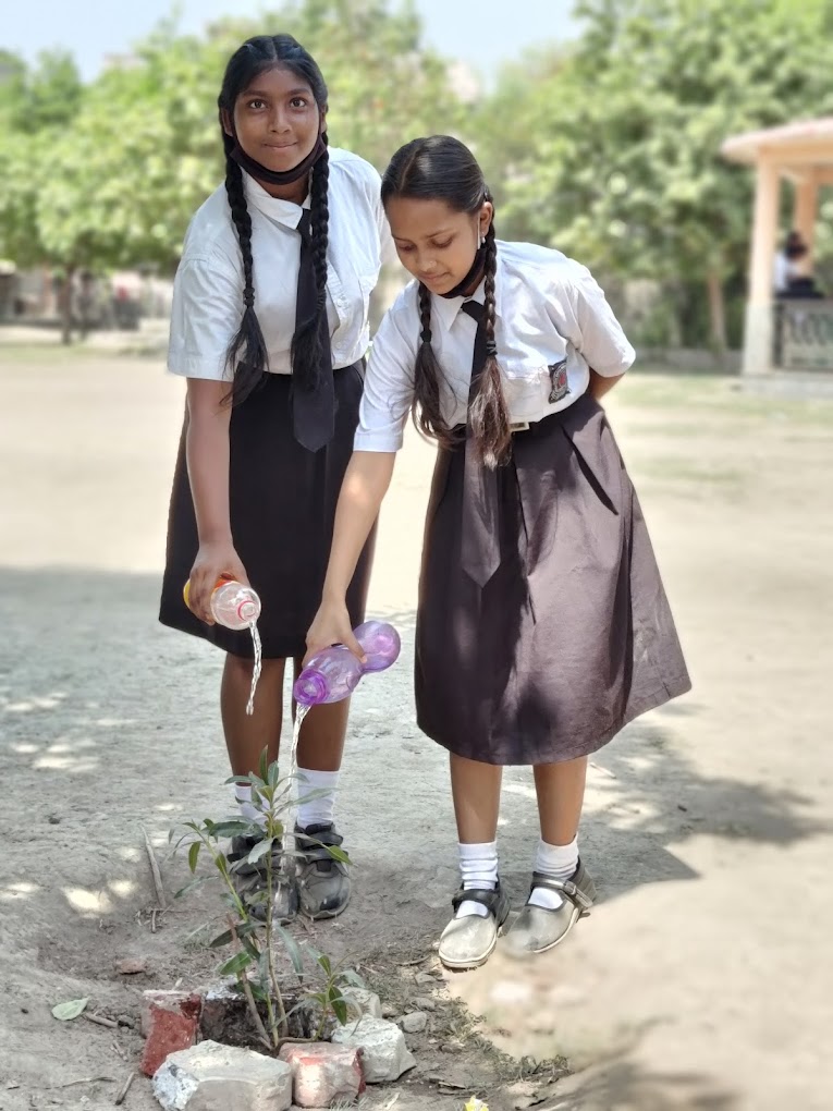 The Earth Paradise School campus photo 23 of 30 — Sector 31