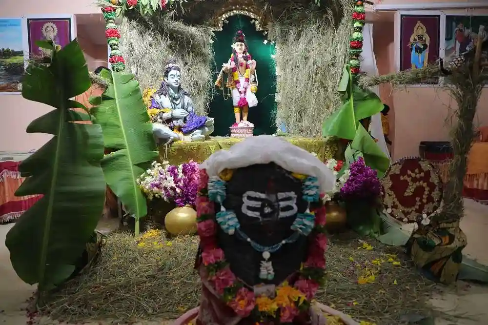 Shree Swaminarayan Gurukul campus photo 5 of 29 — Junagadh