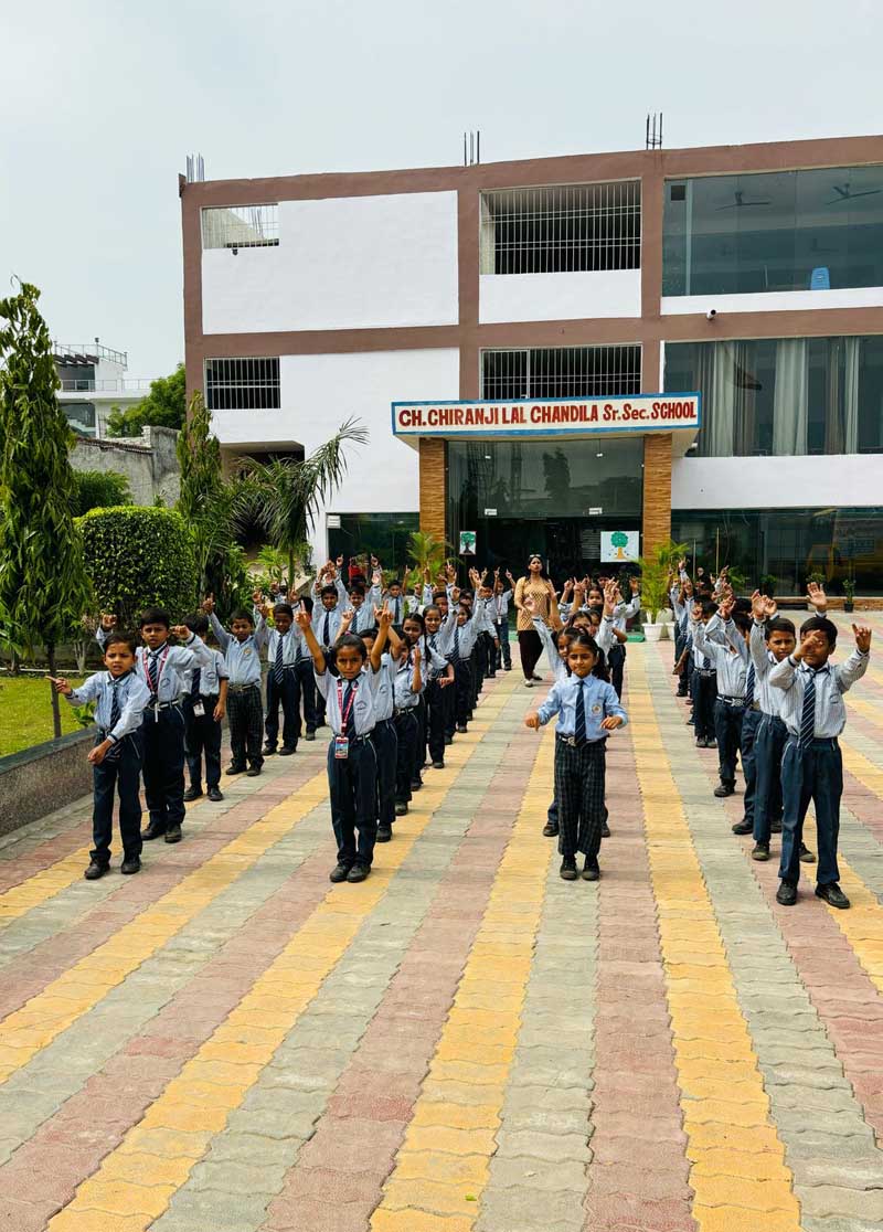 Ch. Chiranji Lal Chandila senior secondary school campus photo 10 of 14 — Sector 54