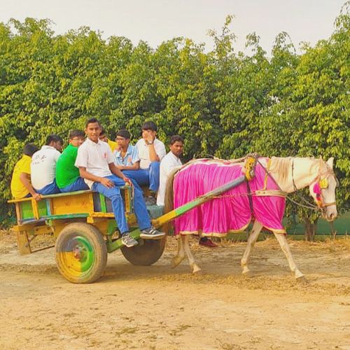 Satyug Darshan Vidyalaya campus photo 9 of 9 — Sector 89