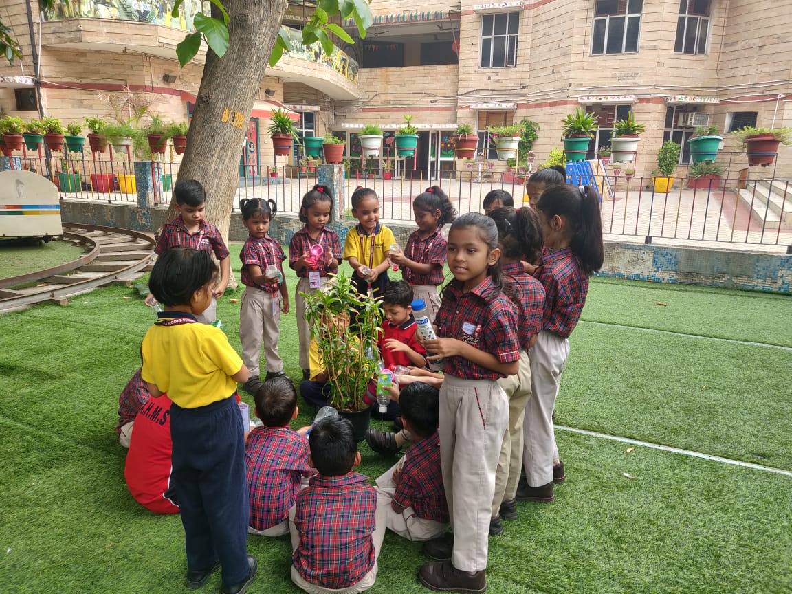 Kulachi Hansraj Model School campus photo 7 of 16 — Ashok Vihar