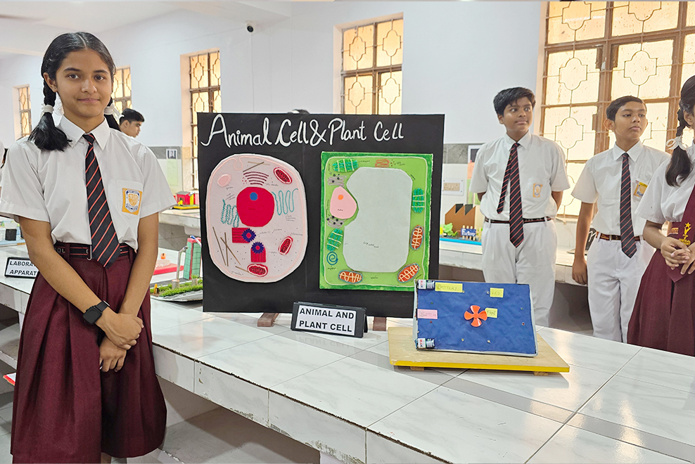 Central Academy campus photo 24 of 29 — Indira Nagar