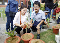 City Montessori School campus photo 4 of 20 — Gomti Nagar