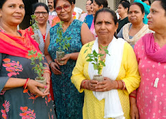 City Montessori School campus photo 11 of 20 — Gomti Nagar