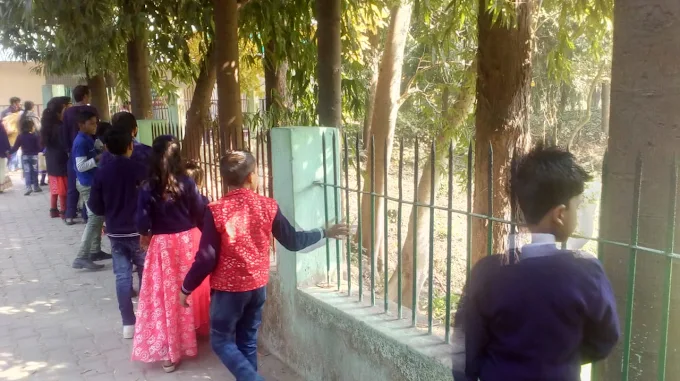 Lucknow convent school campus photo 8 of 12 — khadra