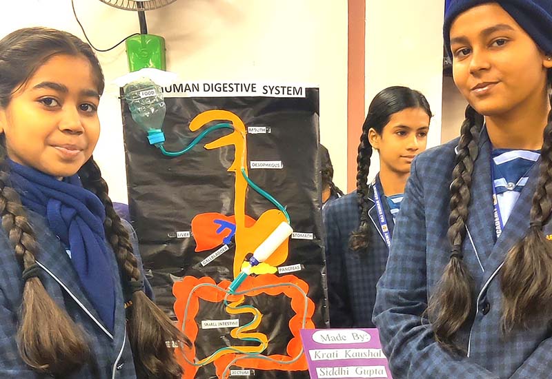Raj Kumar Academy campus photo 19 of 20 — Mehndiganj