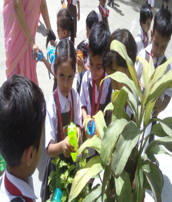 Rani Laxmi Bai Memorial School campus photo 11 of 12 — Vikas Nagar