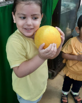 Pratap International School Junior campus photo 4 of 30 — Pitampura