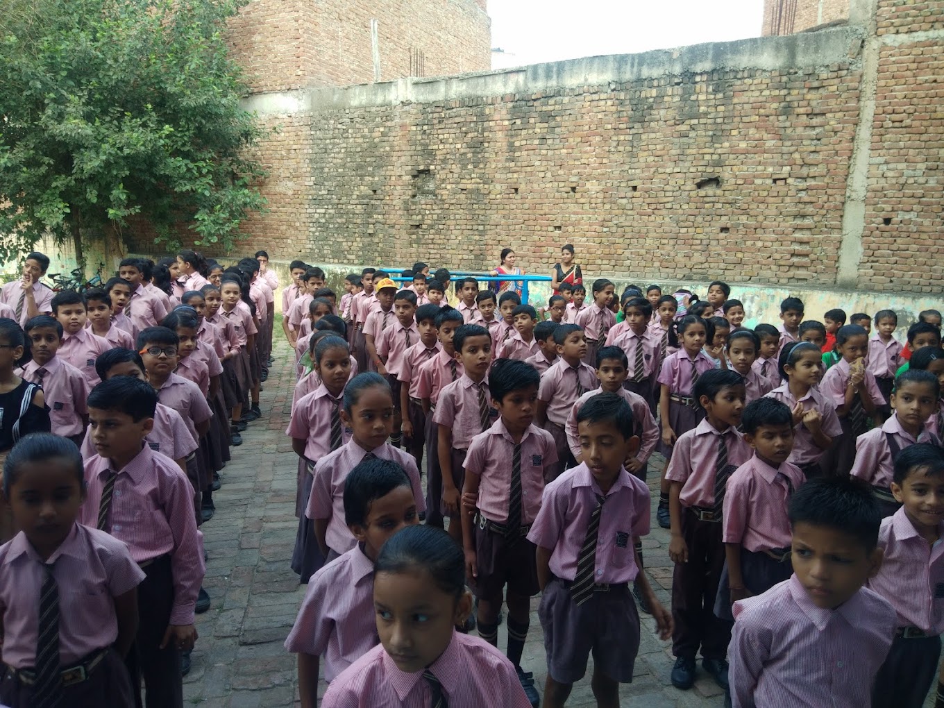 Aurobindo Public School campus photo 3 of 3 — Buddh Vihar