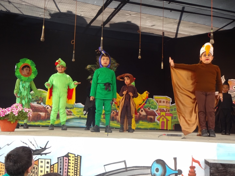 Delhi Public School campus photo 10 of 30 — Patna