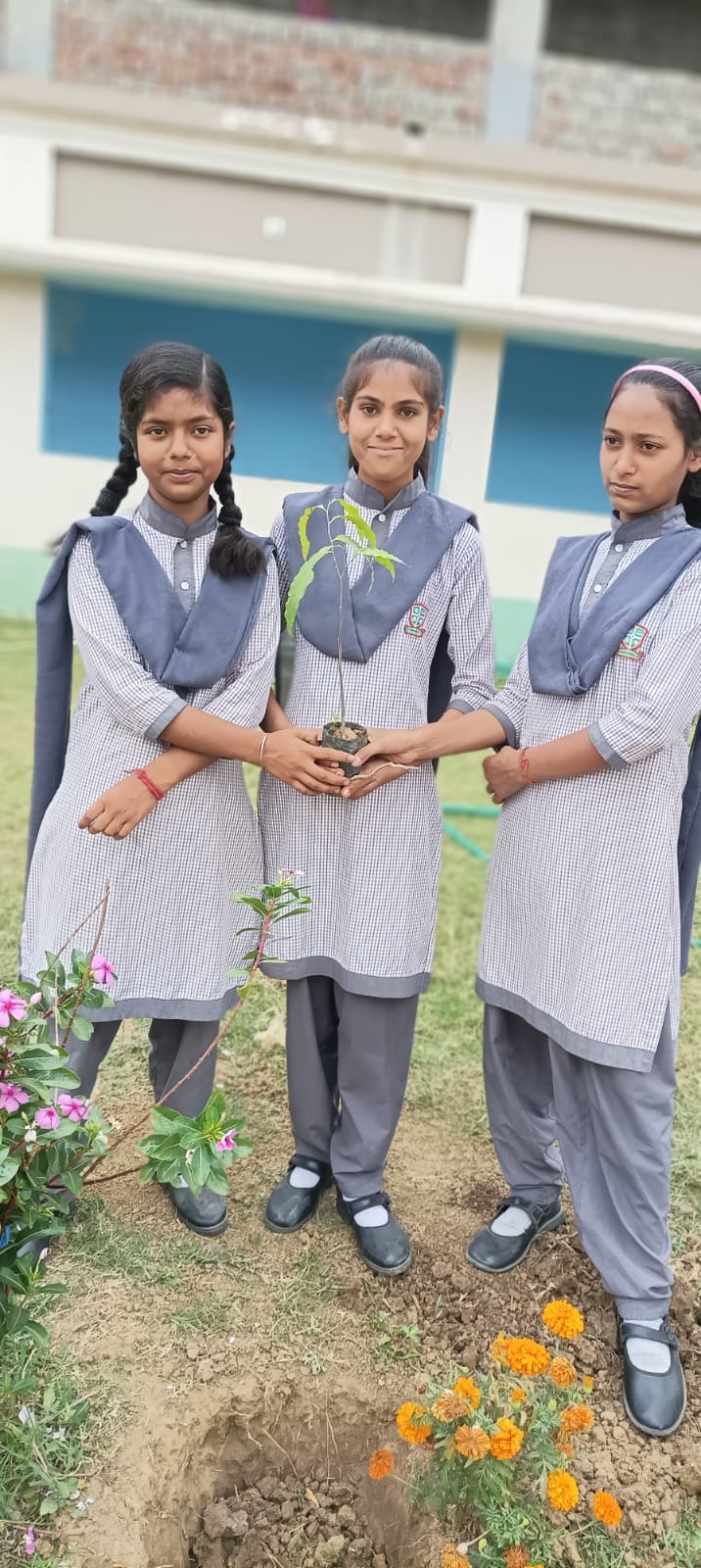 Spring Hill Public School campus photo 2 of 17 — Bhagalpur