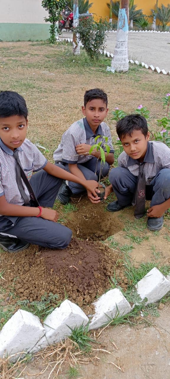 Spring Hill Public School campus photo 3 of 17 — Bhagalpur