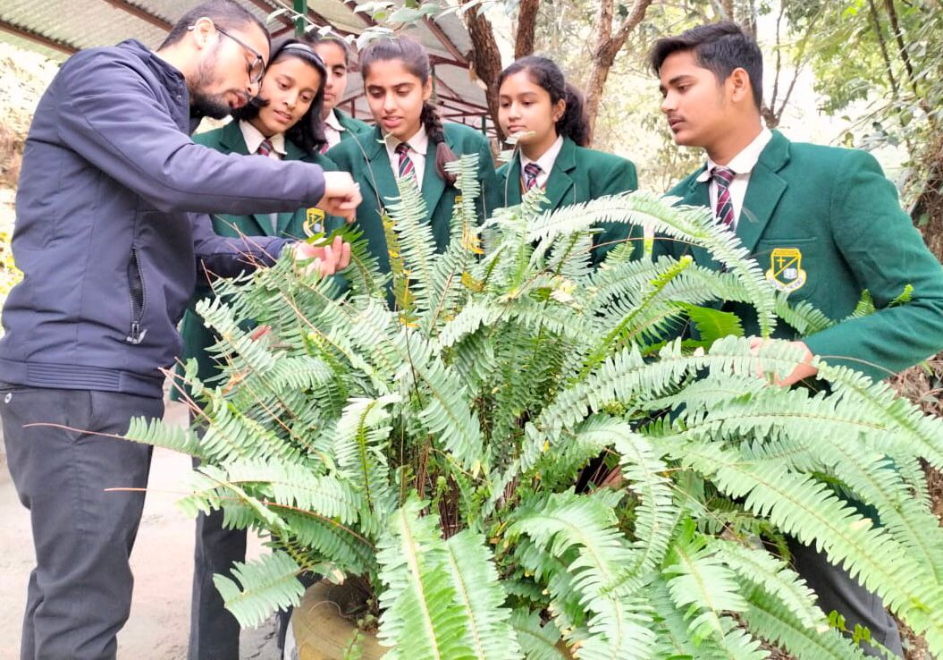 Woodbridge School
 campus photo 2 of 30 — Nainital