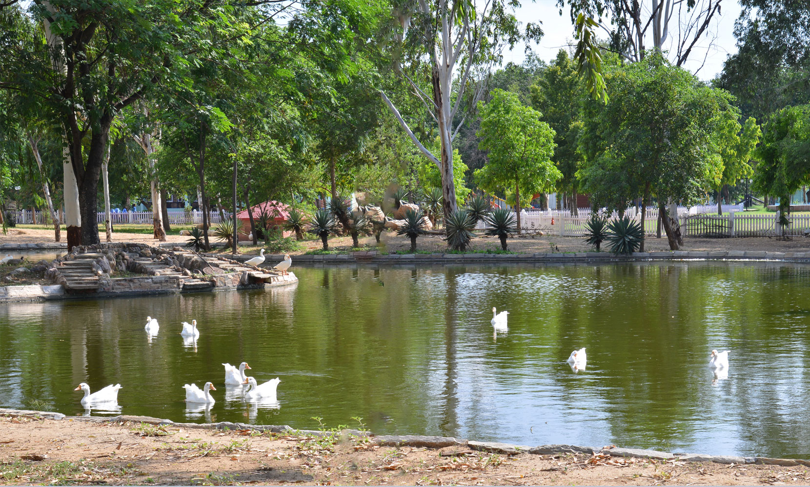Mody school campus photo 9 of 10 — Sikar