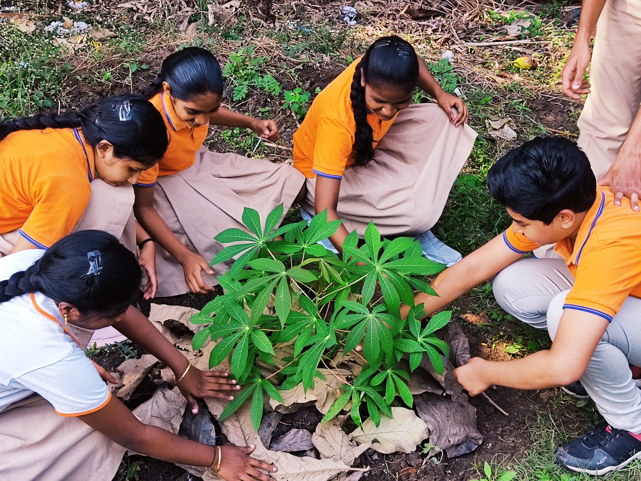 Paramjyoti School campus photo 12 of 16 — East Godavari