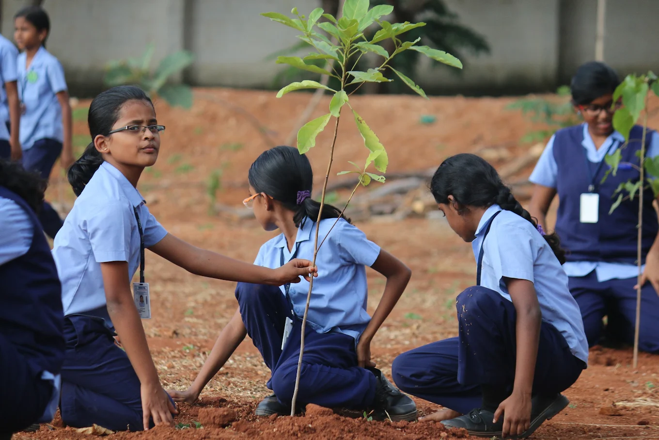 KALVI Global Matriculation School campus photo 5 of 6 — Madurai