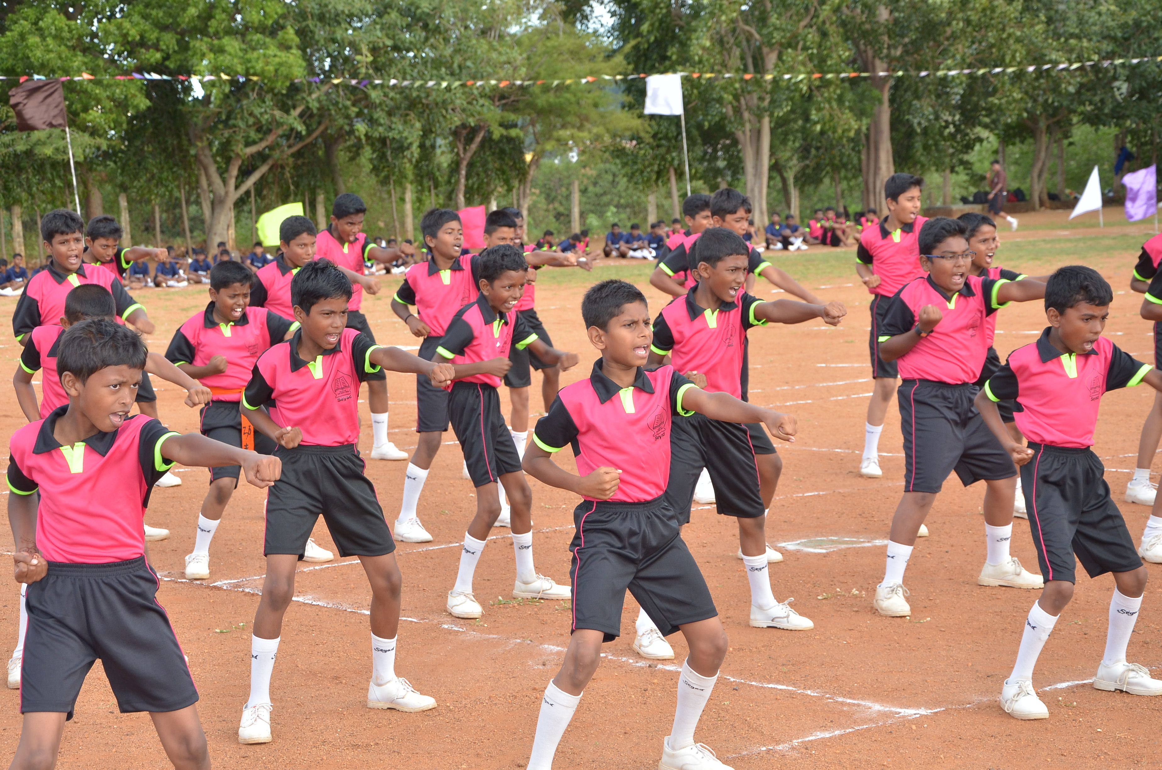Seyad Residential Matric Hr Sec School campus photo 15 of 16 — Tenkasi