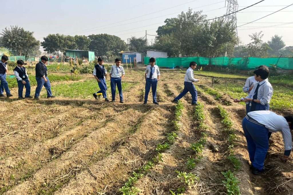 Manvi Public School campus photo 29 of 30 — Rohini
