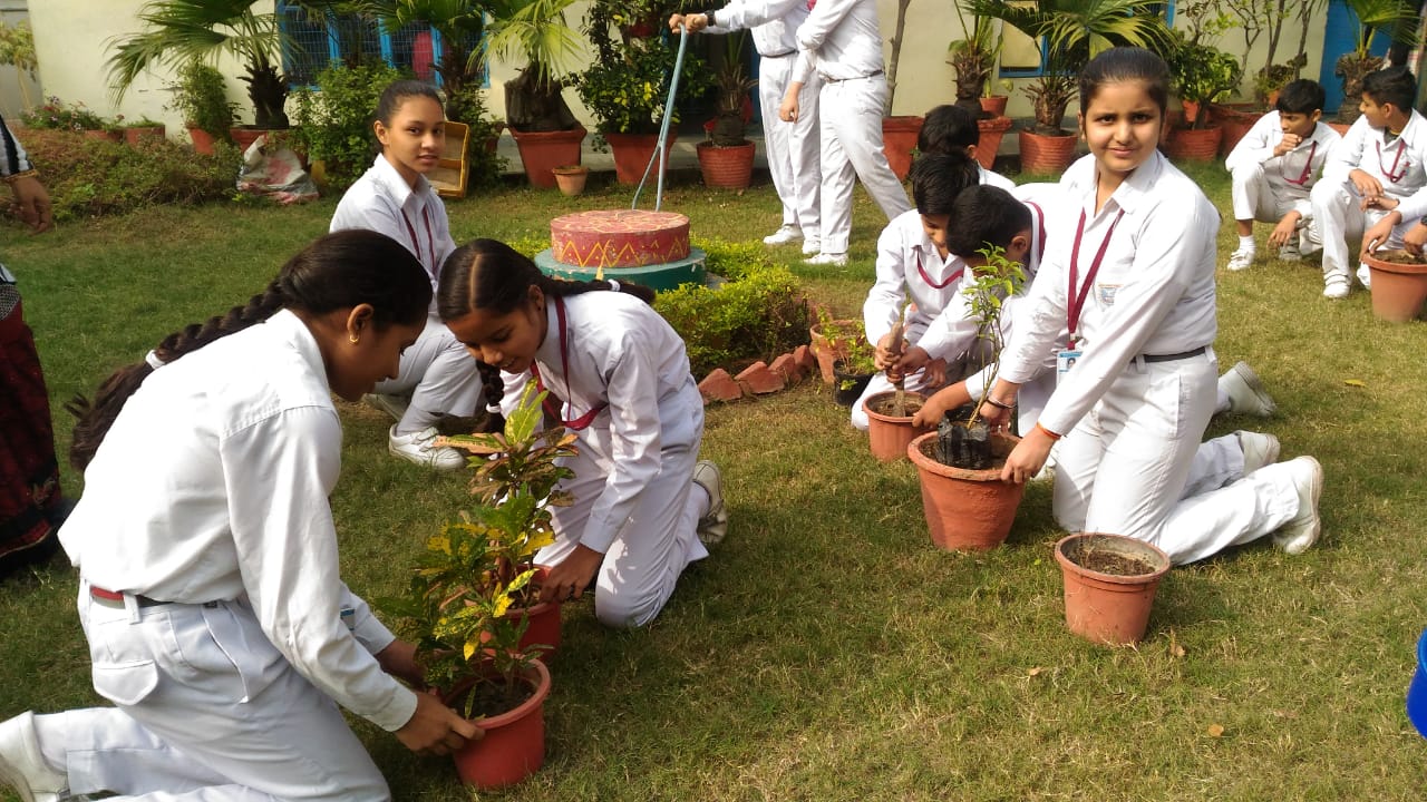 Muni Maya Ram Jain Public School campus photo 11 of 30 — Pitampura
