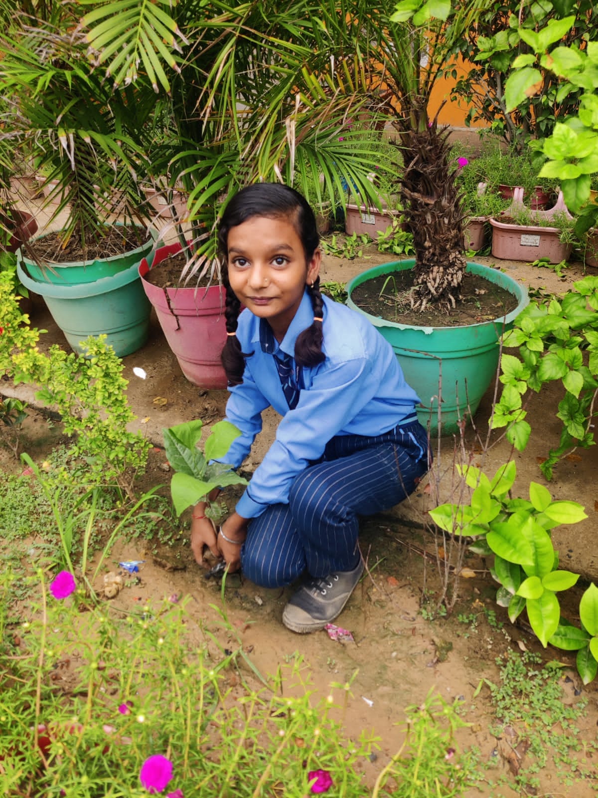 M.D. Indraprastha Senior Secondary Public School campus photo 2 of 3 — Begumpur