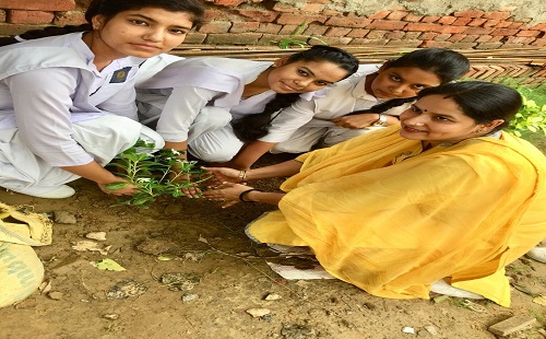 Indraprastha Convent Senior Secondary School campus photo 2 of 12 — Begumpur
