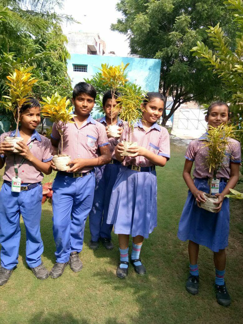 Mata Roshini Devi Public School campus photo 10 of 30 — Buddhpur