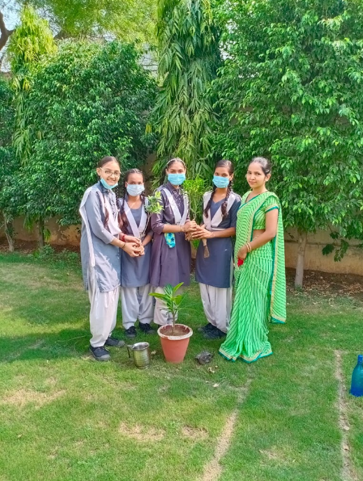 R. K. Memorial Public School campus photo 9 of 17 — Sultanpuri C Block