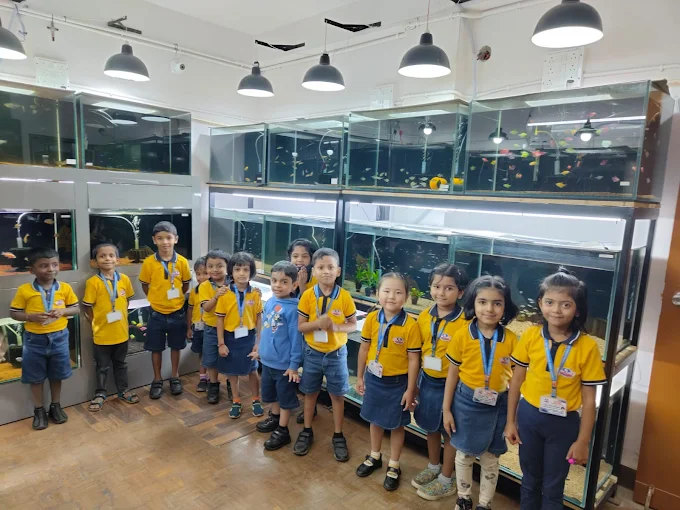 Sanford Wings International Preschool campus photo 4 of 9 — Indiranagar