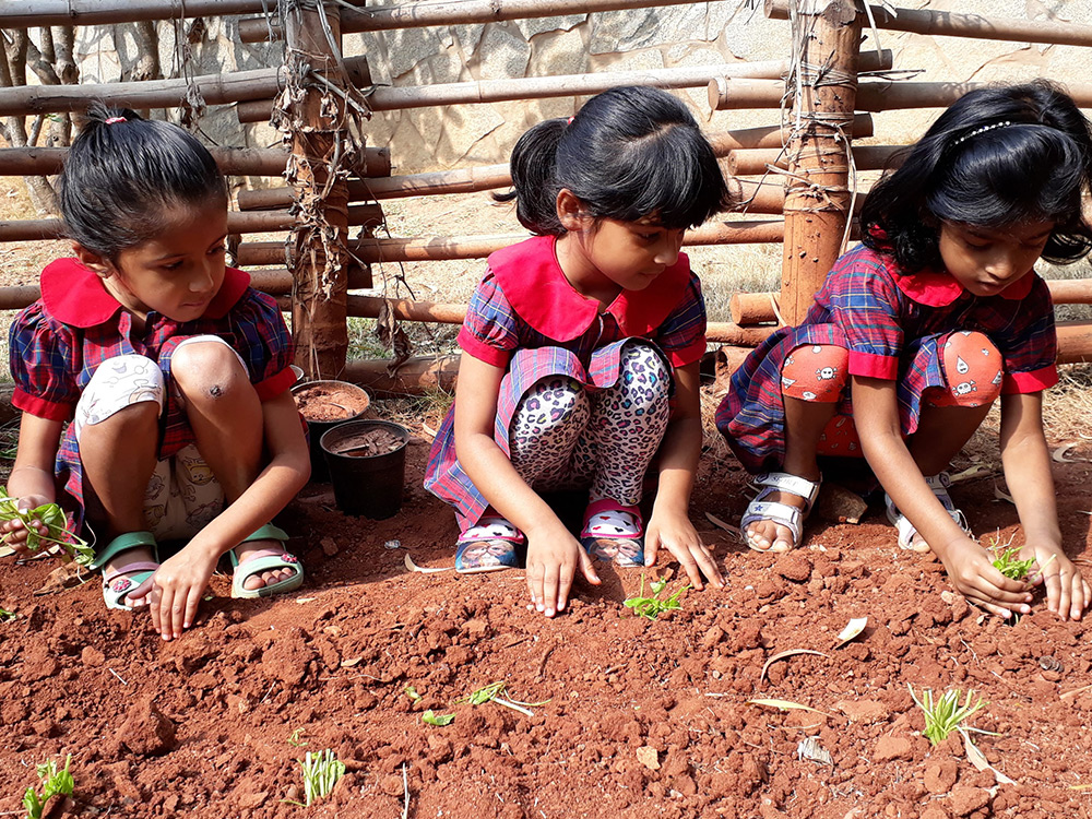 Vivero International Preschool & Child Care campus photo 3 of 3 — Bellandur