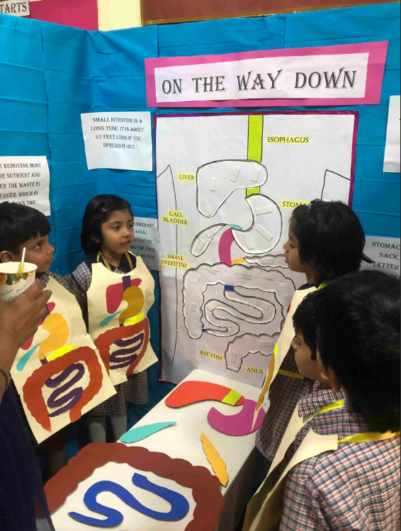 Lexicon Kids campus photo 5 of 8 — Hadapsar