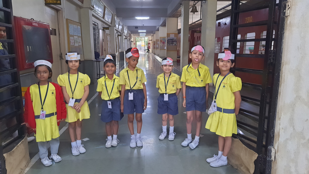 S.E.S. Gurukul School campus photo 4 of 30 — Ashok Nagar