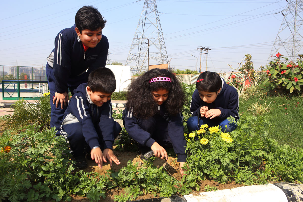 Darbari Lal Foundation World School campus photo 13 of 16 — Zeta I